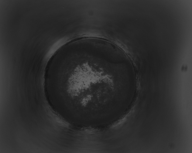X0000093090199200710031445