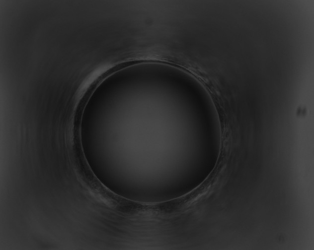 X0000093090200200710031445