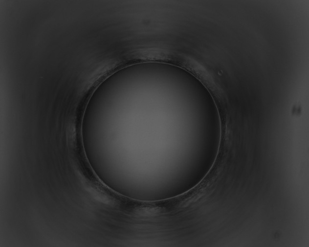 X0000093090202200710031445
