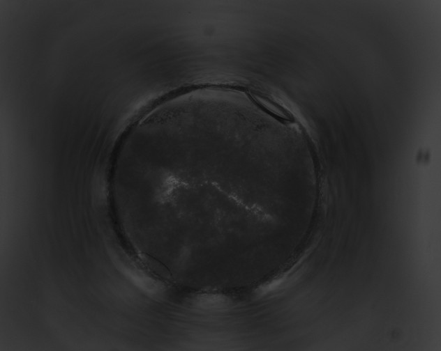 X0000093090203200710031445