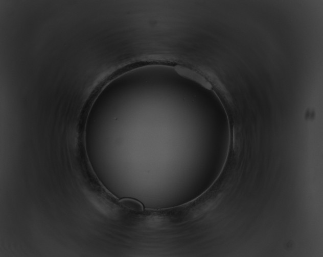 X0000093090204200710031445