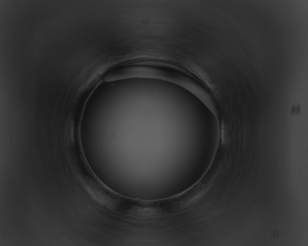 X0000093090205200710031445