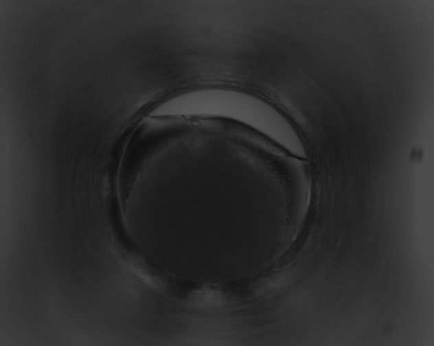 X0000093090211200710031445