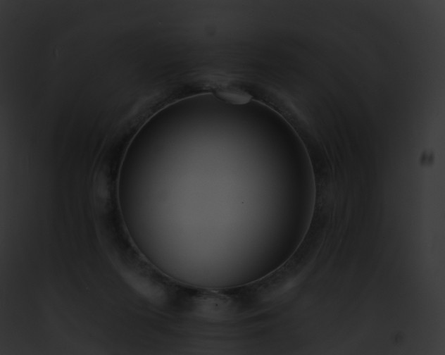 X0000093090215200710031445