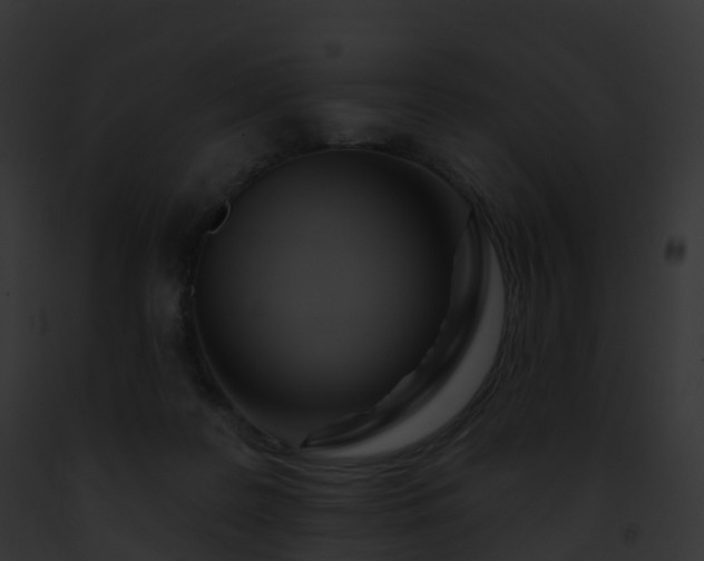 X0000093090219200710031445