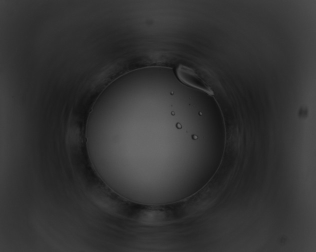 X0000093090220200710031445
