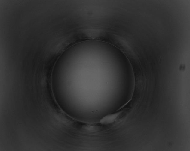 X0000093090221200710031445