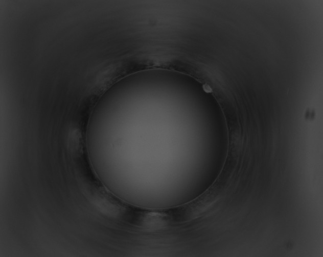 X0000093090222200710031445