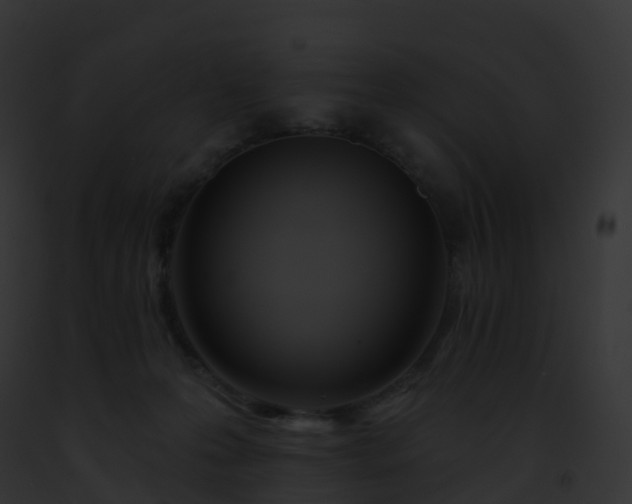 X0000093090223200710031445