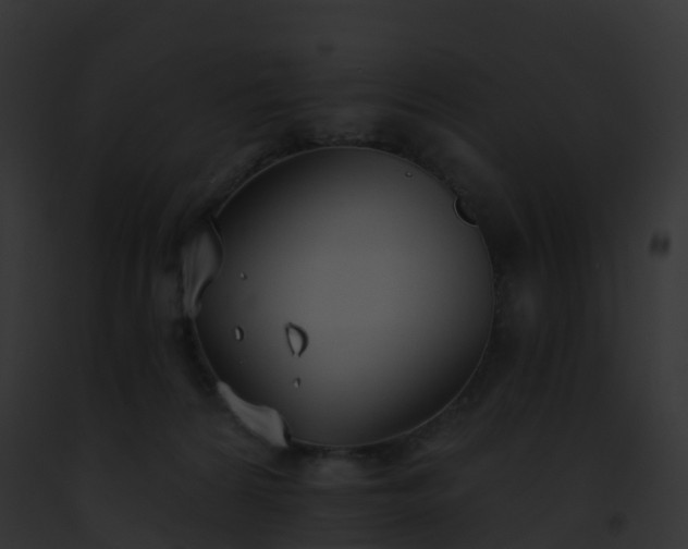 X0000093090224200710031445
