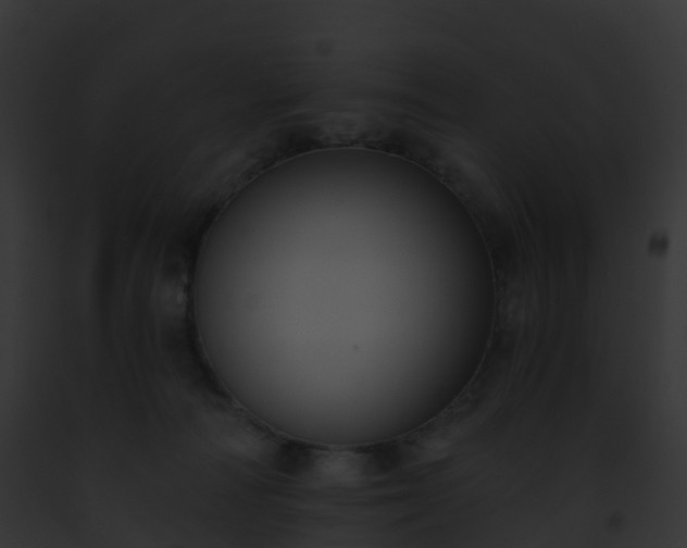 X0000093090226200710031445