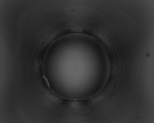 X0000093090229200710031445