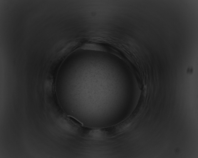 X0000093090231200710031445
