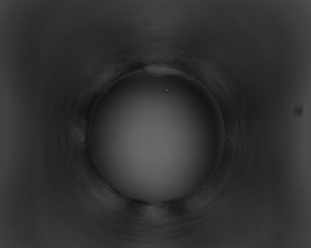 X0000093090232200710031445