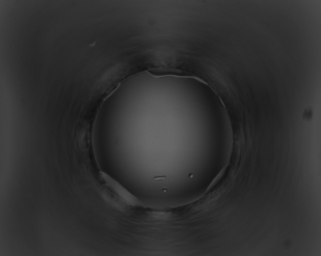 X0000093090233200710031445