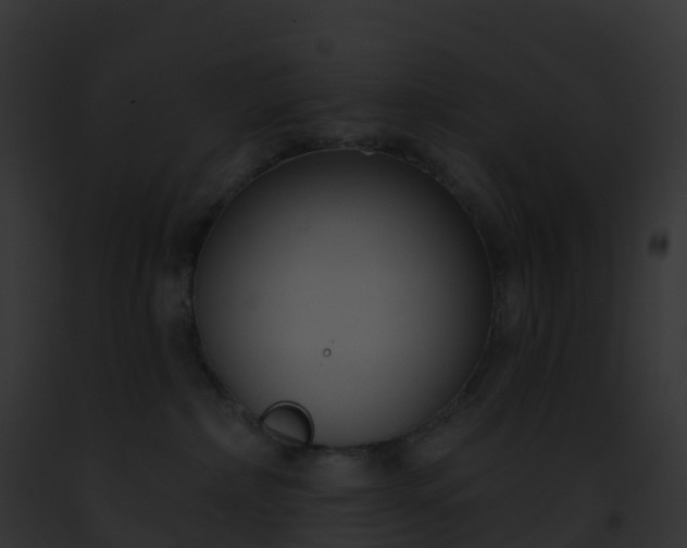 X0000093090236200710031445