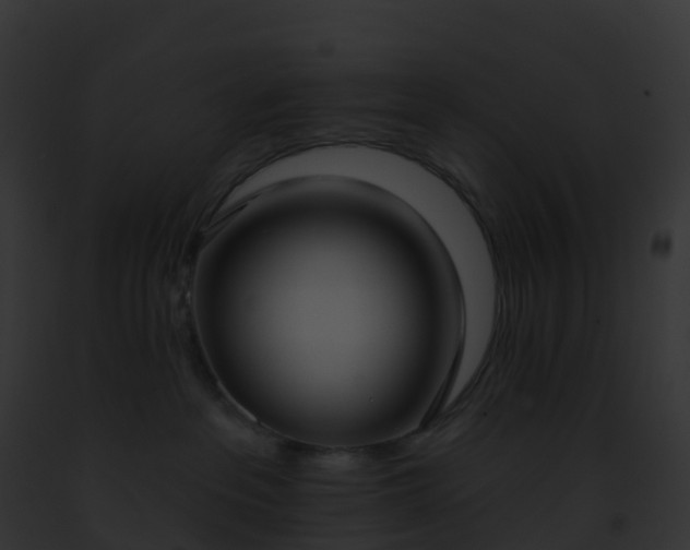 X0000093090237200710031445