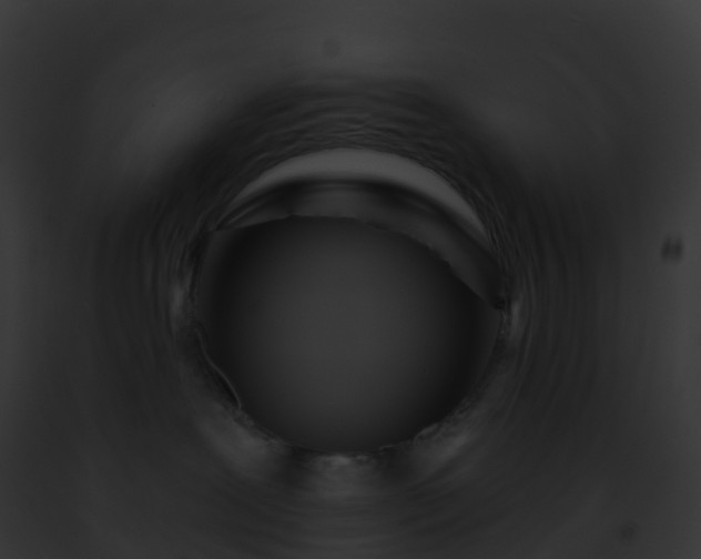 X0000093090239200710031445