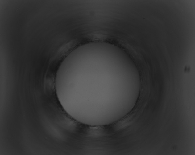 X0000093090240200710031445