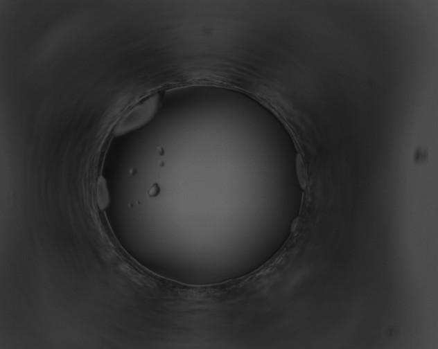 X0000093090241200710031444