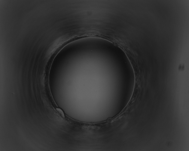 X0000093090242200710031444