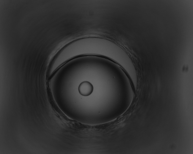 X0000093090244200710031444