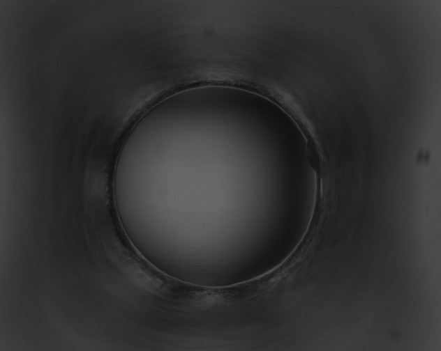X0000093090249200710031444
