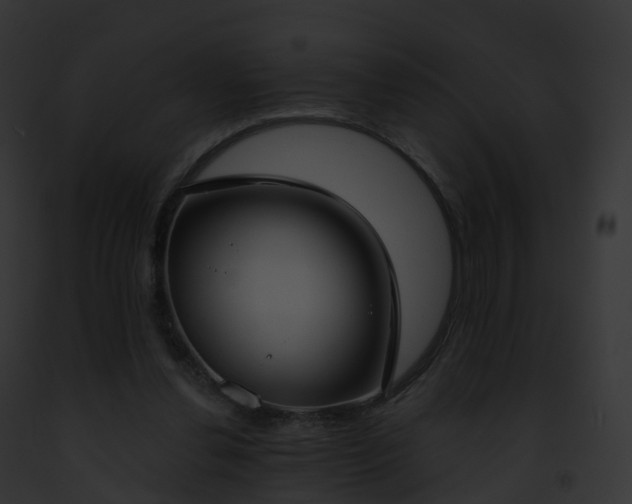 X0000093090252200710031444