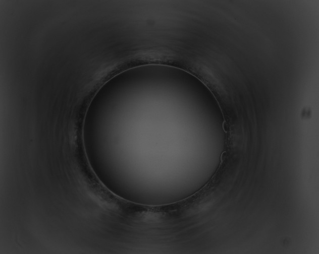 X0000093090255200710031444