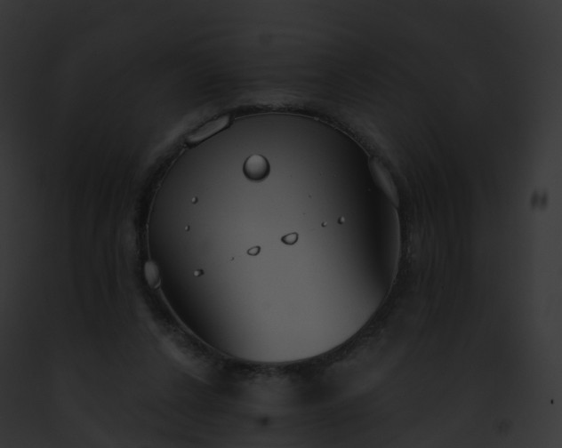 X0000093090256200710031444