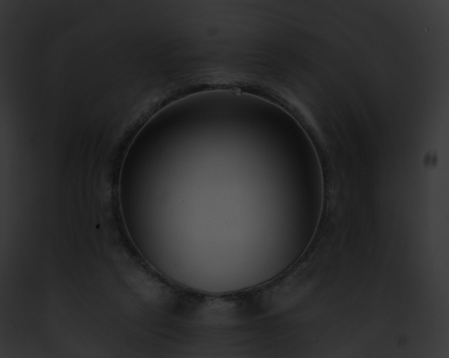 X0000093090257200710031444