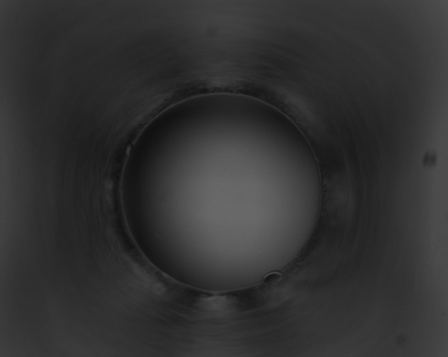 X0000093090269200710031444