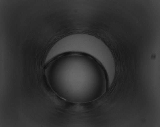 X0000093090276200710031444