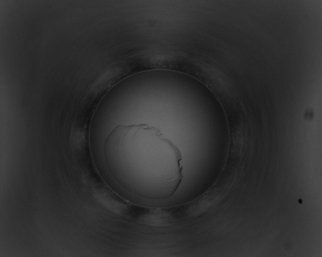 X0000093090278200710031444