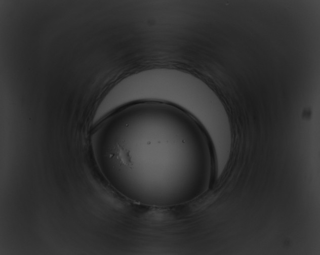 X0000093090280200710031444