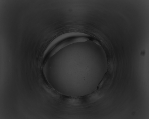 X0000093090284200710031445