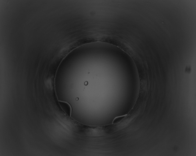 X0000093090286200710031445