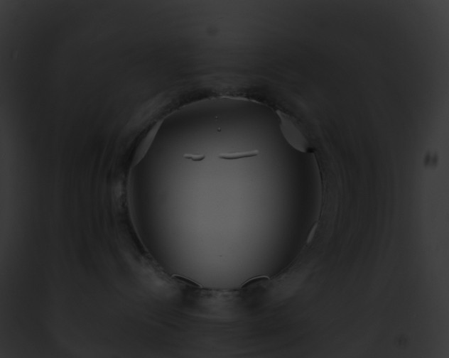 X0000093090288200710031445