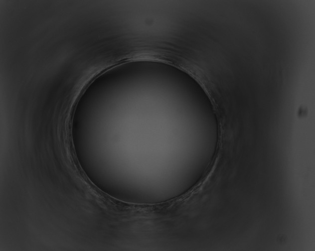 X0000093090289200710031444