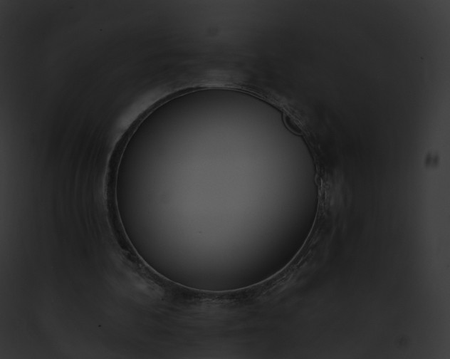 X0000093090292200710031444