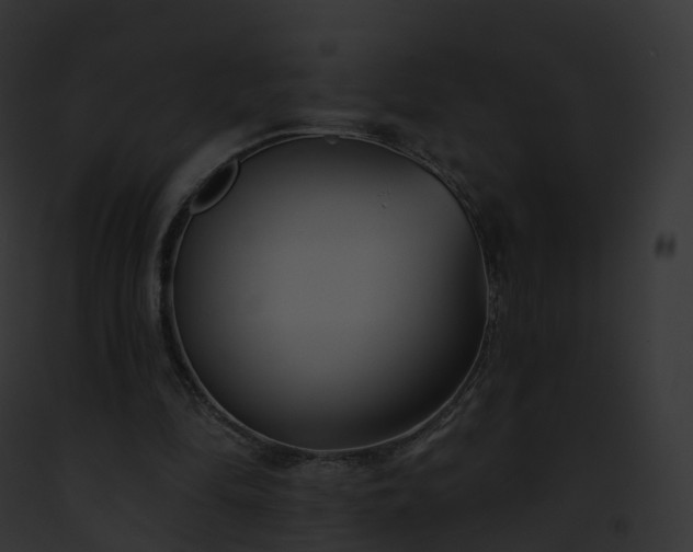 X0000093090294200710031444
