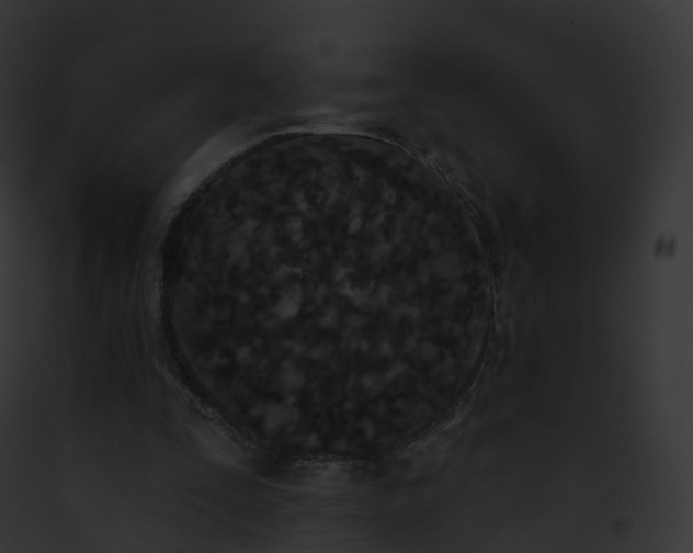 X0000093090295200710031444