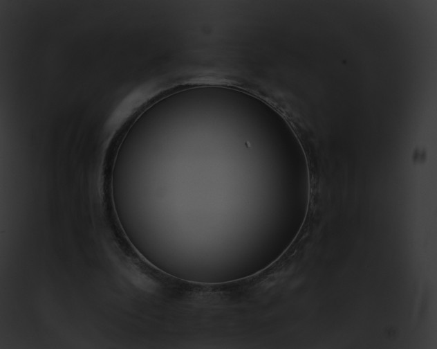 X0000093090296200710031444