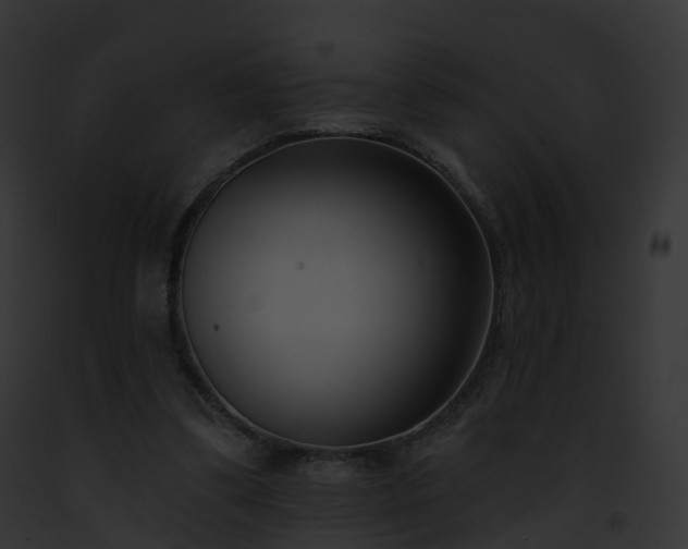 X0000093090299200710031444