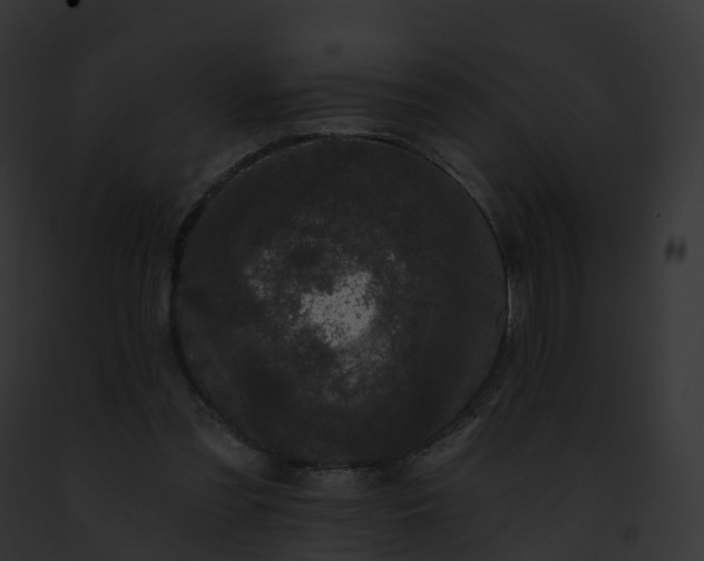 X0000093090301200710031444