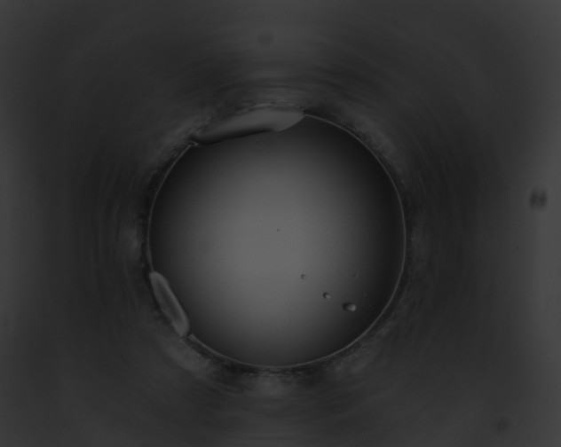 X0000093090305200710031444