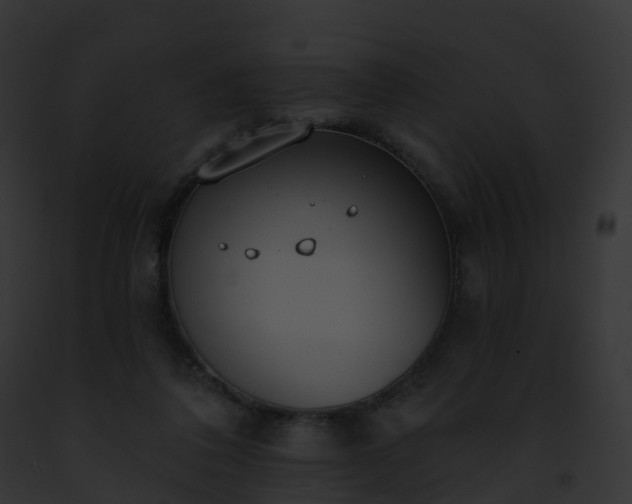 X0000093090308200710031444