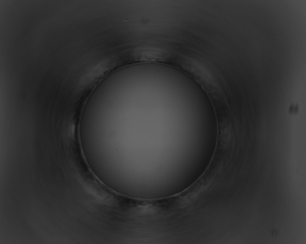 X0000093090310200710031444