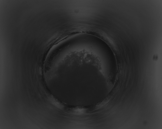 X0000093090313200710031444