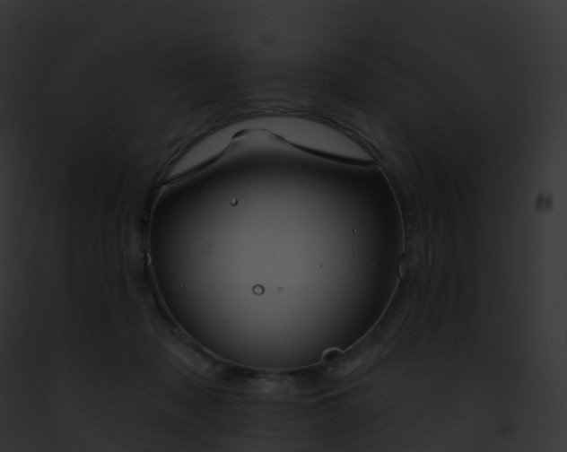X0000093090317200710031444